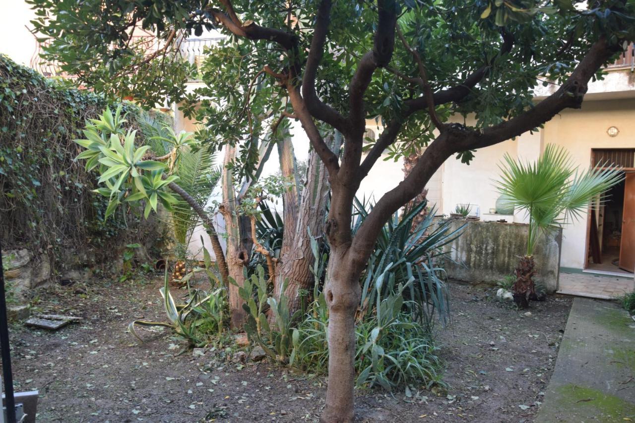Artroom Garden Ното Екстериор снимка