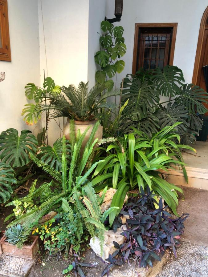 Artroom Garden Ното Екстериор снимка